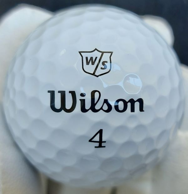 2022 Wilson Triad Logo
