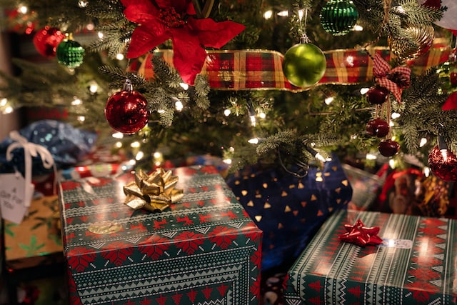 Christmas Presents Under Christmas Tree by Clint Patterson