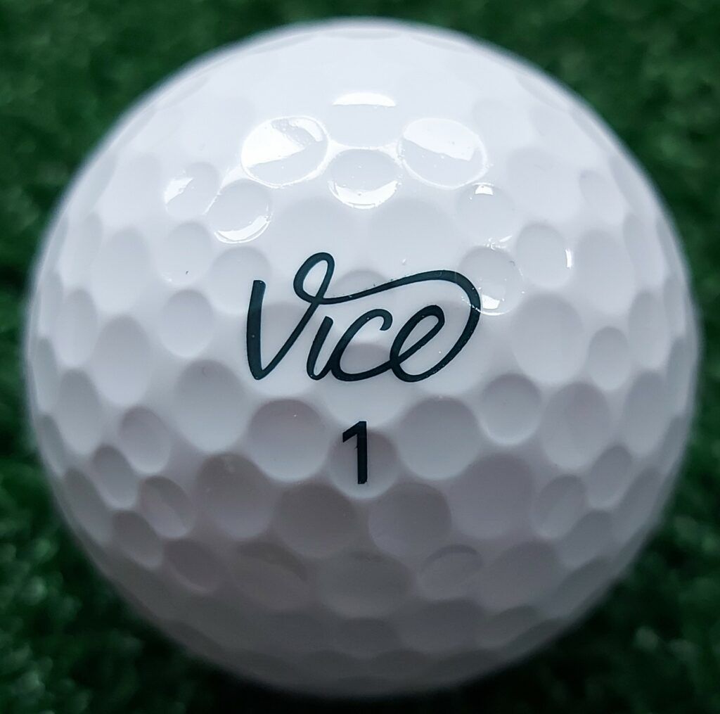 2021 Vice Tour Logo