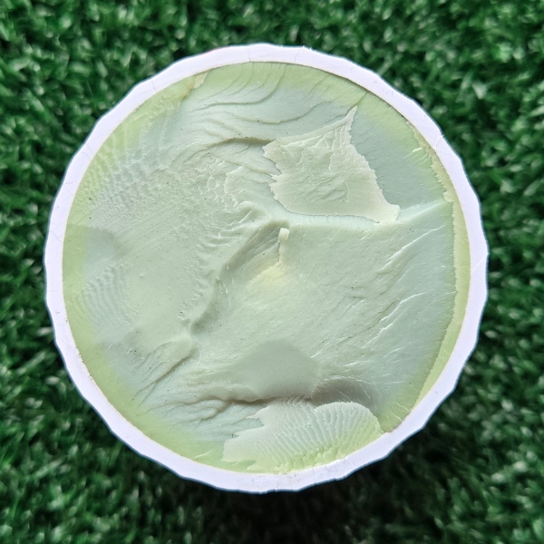 2025 Bridgestone e12 Speed Golf Ball split in half showing the ball core